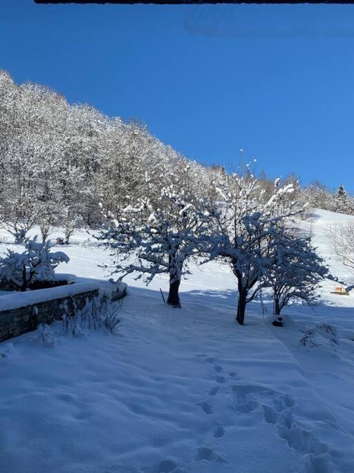 Meribel Chalet De Severine Les Allues Екстериор снимка